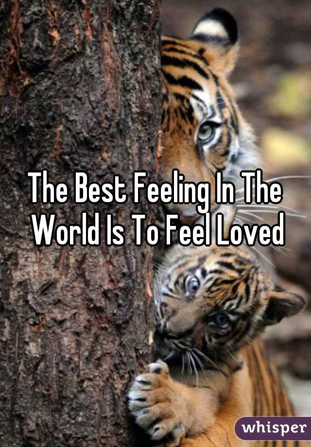 The Best Feeling In The World Is To Feel Loved