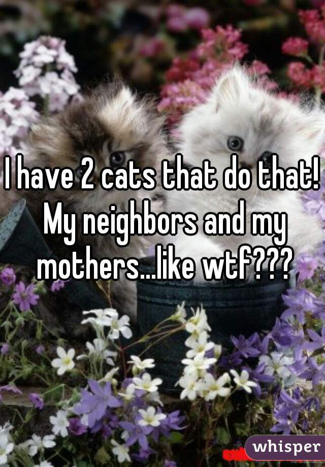 I have 2 cats that do that! My neighbors and my mothers...like wtf???