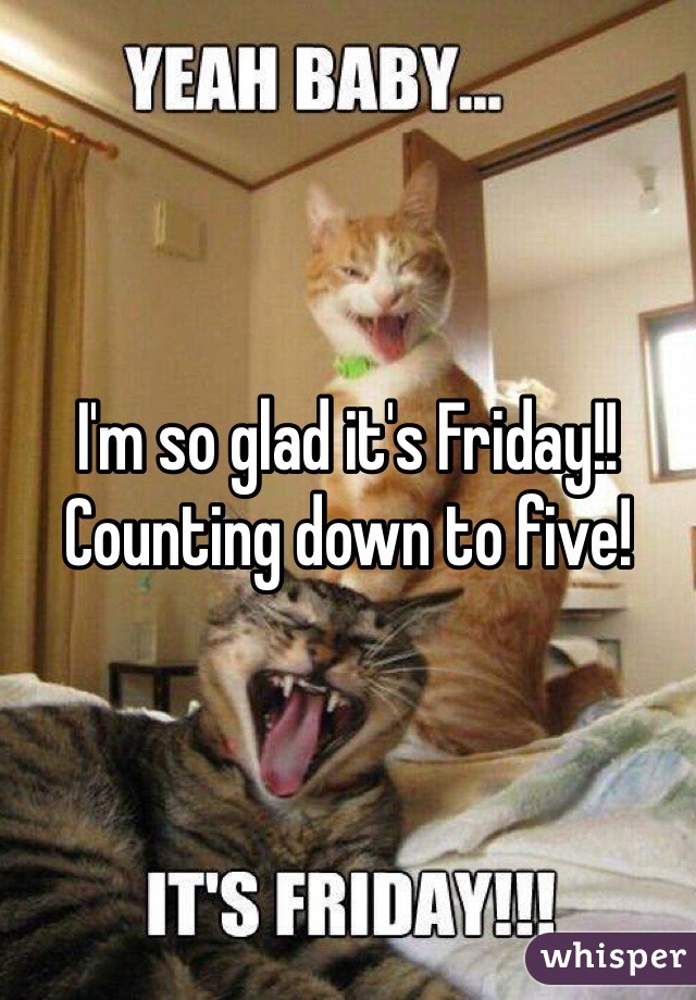 I'm so glad it's Friday!!
Counting down to five!