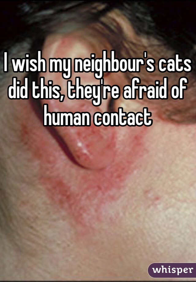 I wish my neighbour's cats did this, they're afraid of human contact