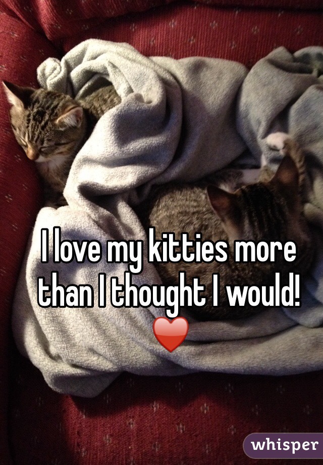 I love my kitties more than I thought I would!  ♥️