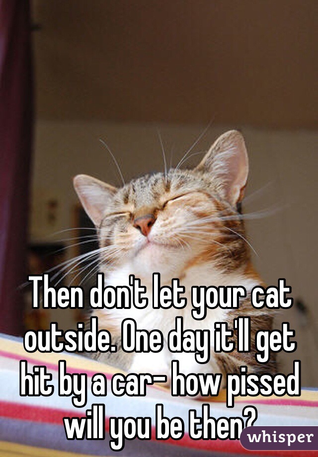 Then don't let your cat outside. One day it'll get hit by a car- how pissed will you be then? 
