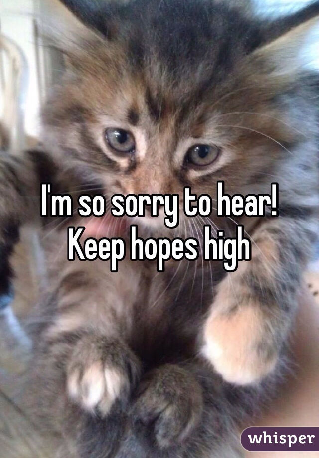 I'm so sorry to hear!
Keep hopes high
