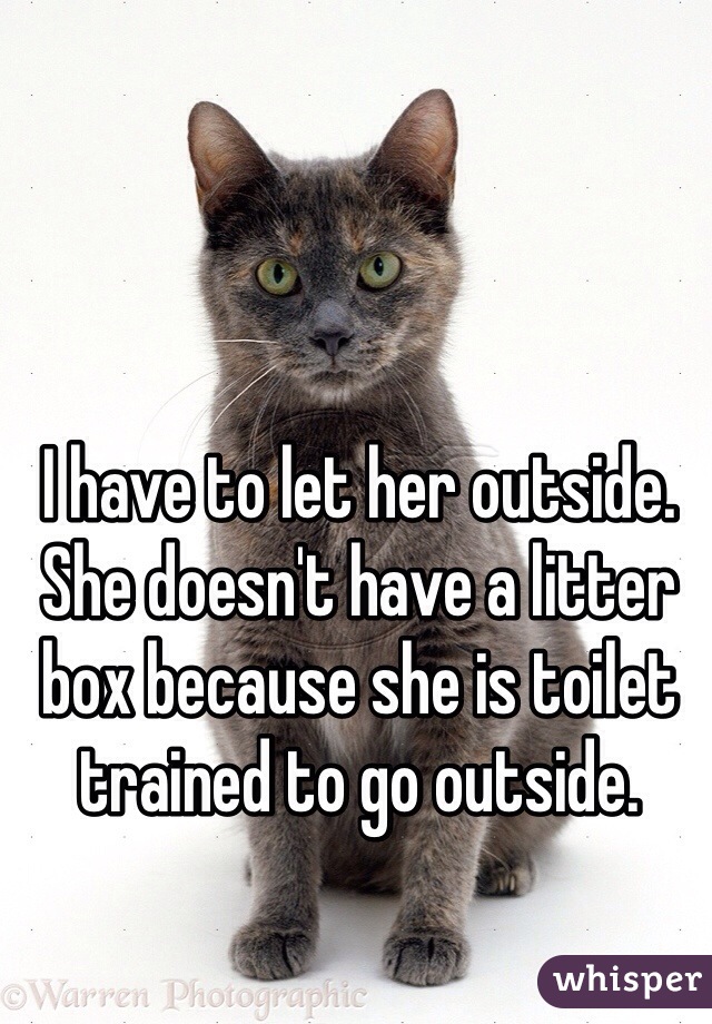 I have to let her outside. She doesn't have a litter box because she is toilet trained to go outside.