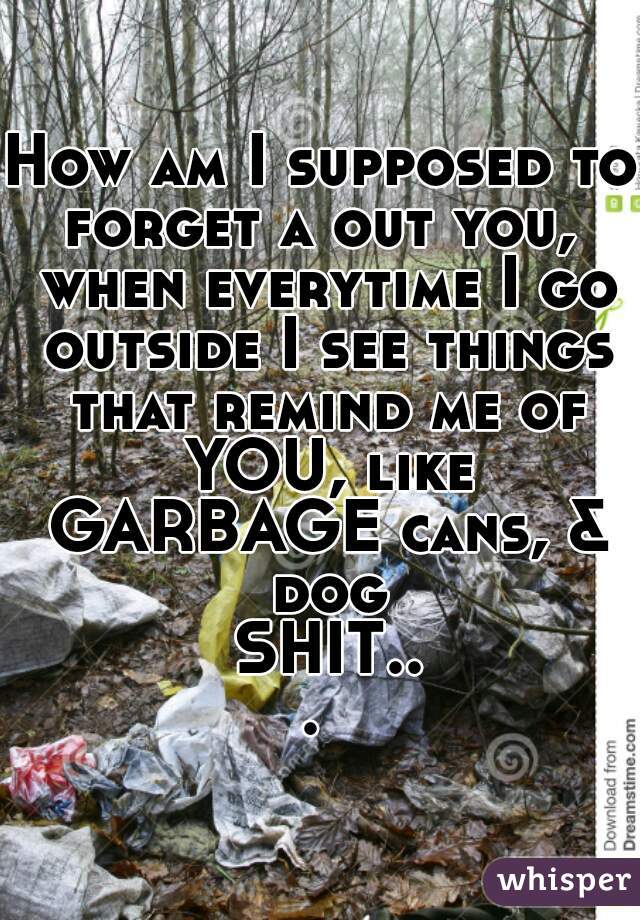 How am I supposed to forget a out you,  when everytime I go outside I see things that remind me of YOU, like GARBAGE cans, & dog SHIT... 