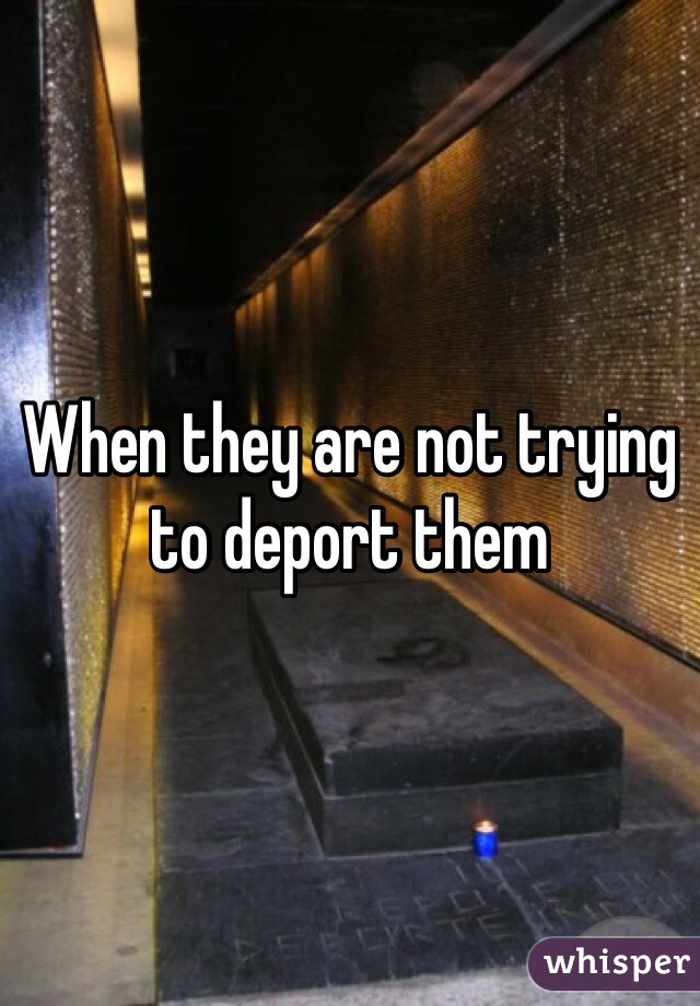 When they are not trying to deport them