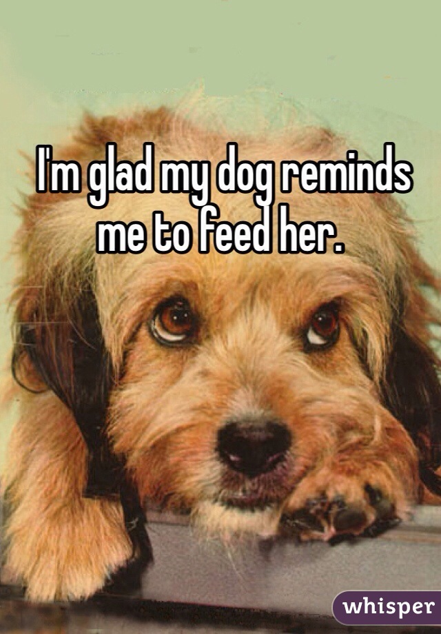  I'm glad my dog reminds me to feed her. 