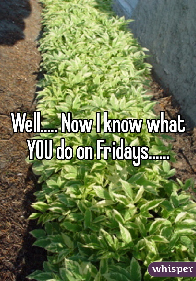 Well..... Now I know what YOU do on Fridays......