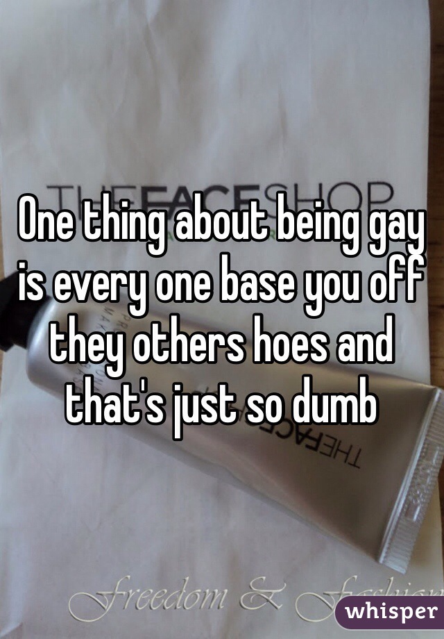 One thing about being gay is every one base you off they others hoes and that's just so dumb 
