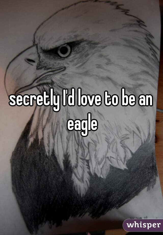 secretly I'd love to be an eagle