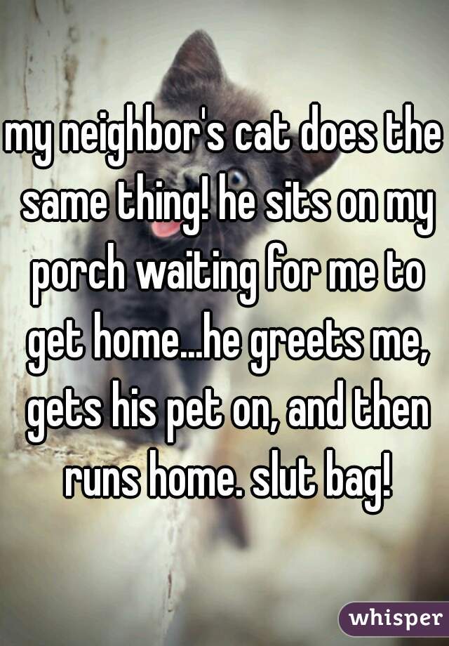 my neighbor's cat does the same thing! he sits on my porch waiting for me to get home...he greets me, gets his pet on, and then runs home. slut bag!