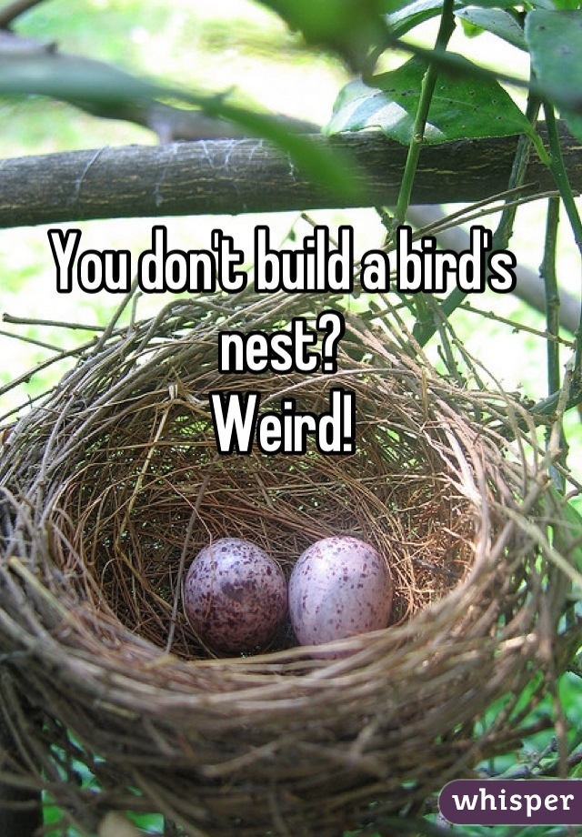 You don't build a bird's nest?
Weird!