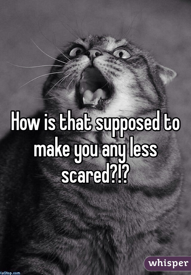 How is that supposed to make you any less scared?!?