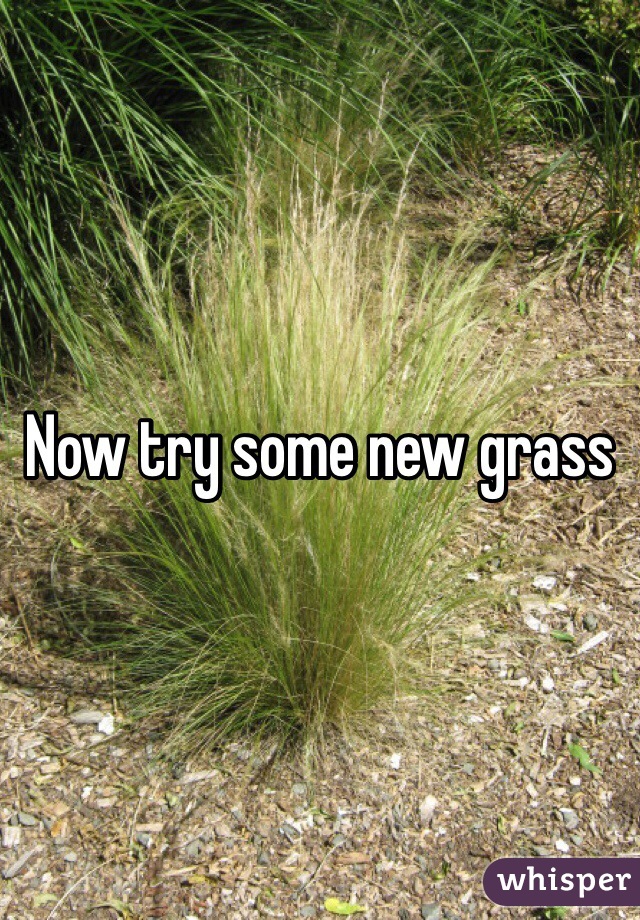 Now try some new grass 