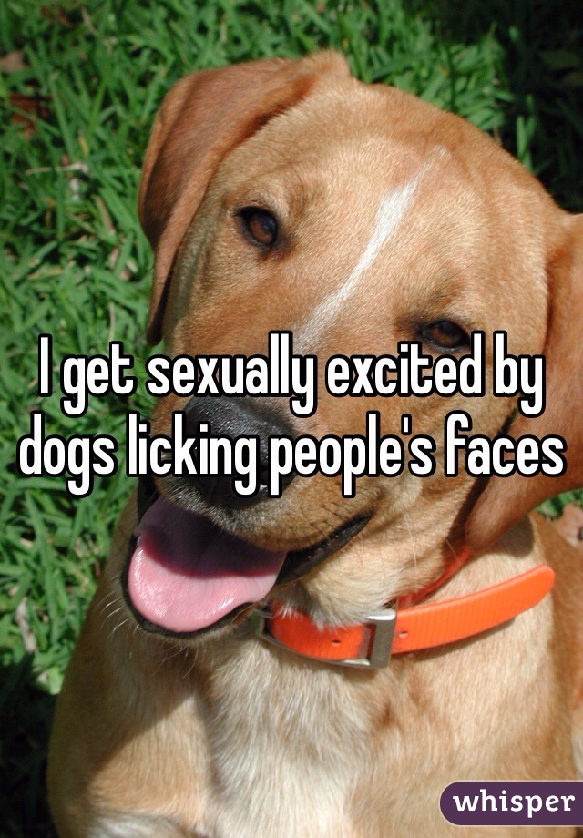 I get sexually excited by dogs licking people's faces