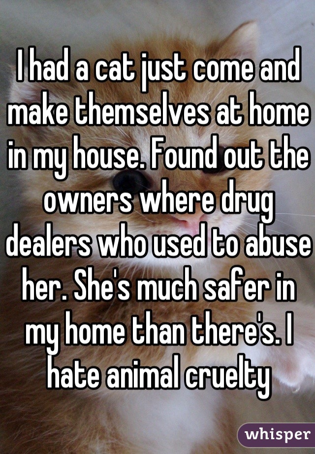 I had a cat just come and make themselves at home in my house. Found out the owners where drug dealers who used to abuse her. She's much safer in my home than there's. I hate animal cruelty 