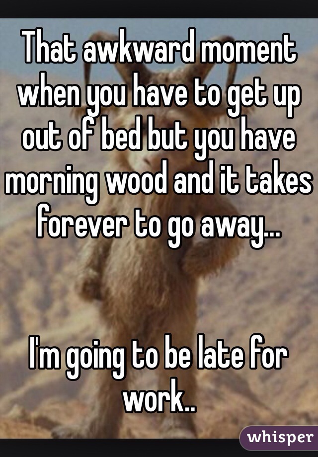 That awkward moment when you have to get up out of bed but you have morning wood and it takes forever to go away...


I'm going to be late for work..