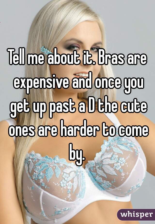 Tell me about it. Bras are expensive and once you get up past a D the cute ones are harder to come by. 