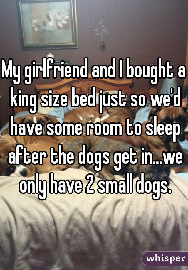 My girlfriend and I bought a king size bed just so we'd have some room to sleep after the dogs get in...we only have 2 small dogs.