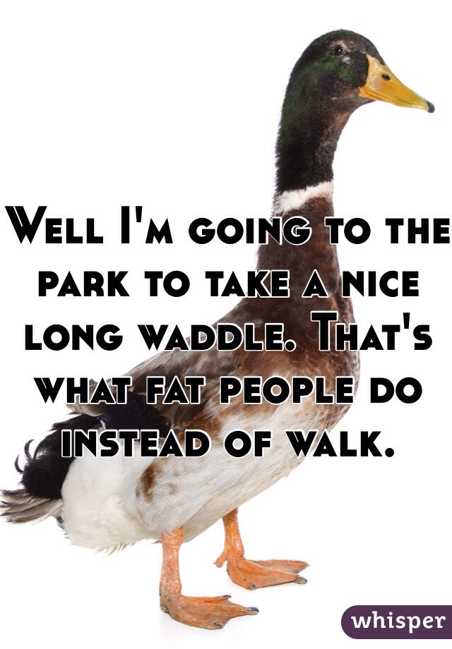 Well I'm going to the park to take a nice long waddle. That's what fat people do instead of walk.