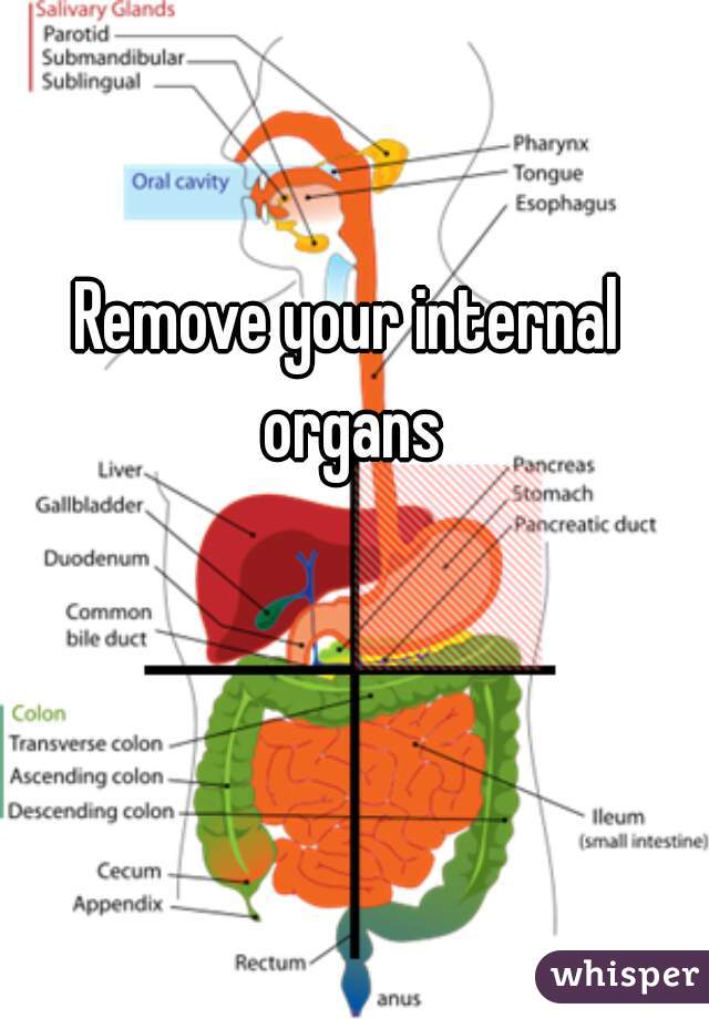 Remove your internal organs