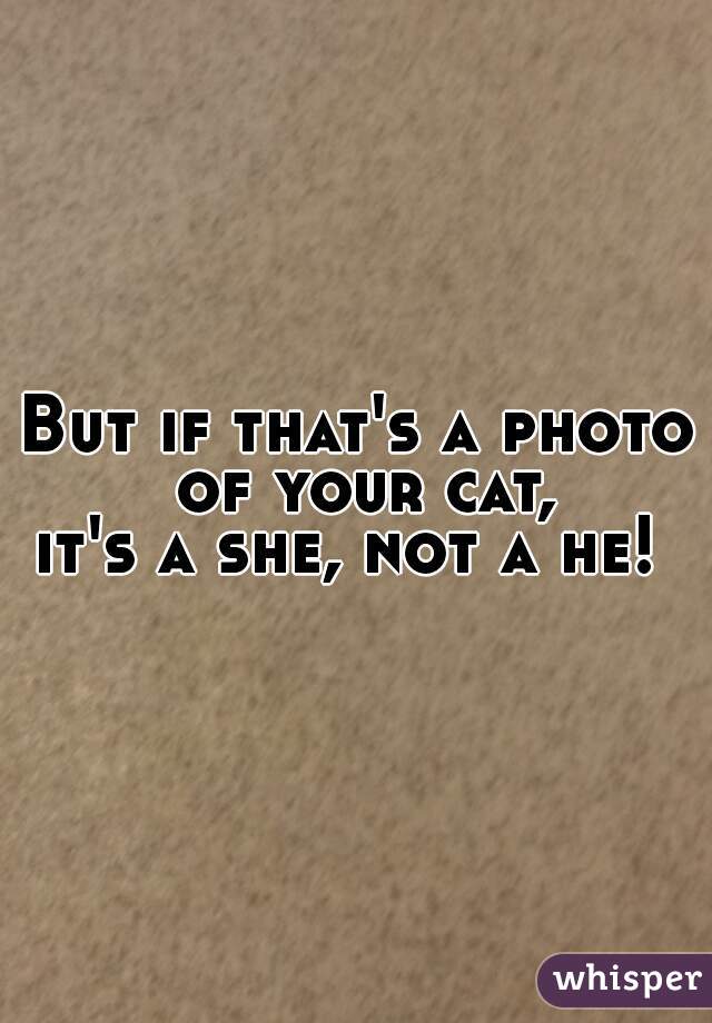 But if that's a photo of your cat,
it's a she, not a he! 