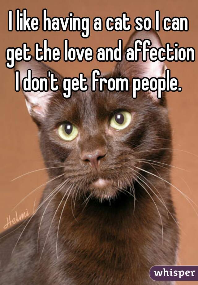 I like having a cat so I can get the love and affection I don't get from people. 