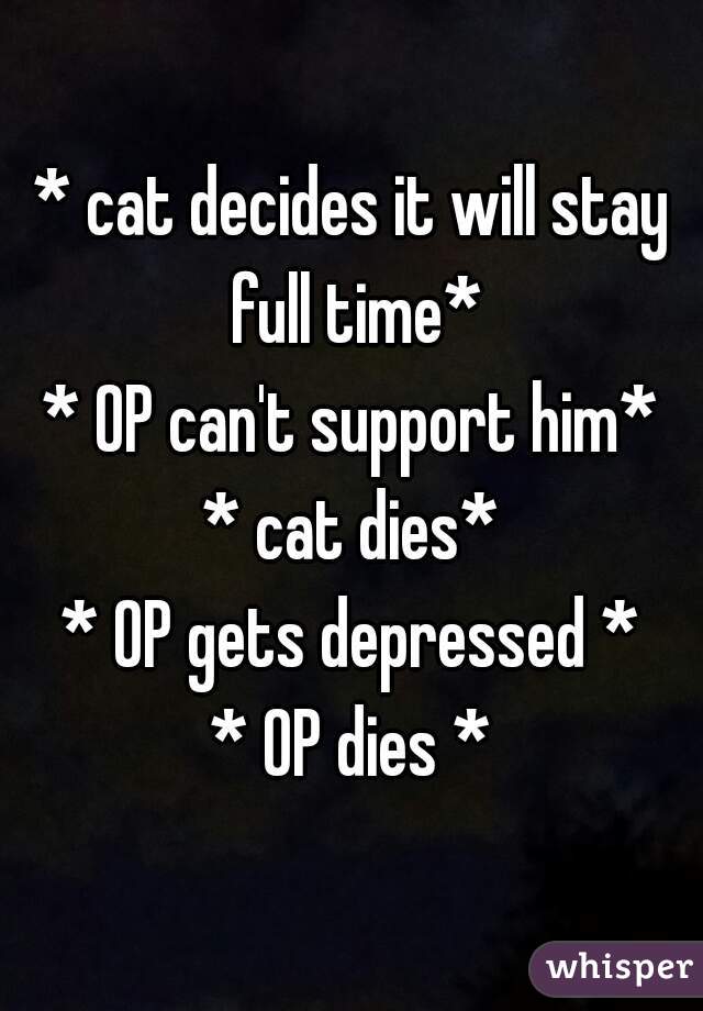 * cat decides it will stay full time*
* OP can't support him*
* cat dies*
* OP gets depressed *
* OP dies *