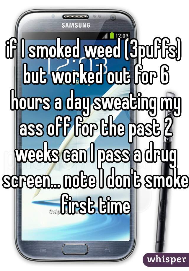 if I smoked weed (3puffs) but worked out for 6 hours a day sweating my ass off for the past 2 weeks can I pass a drug screen... note I don't smoke first time