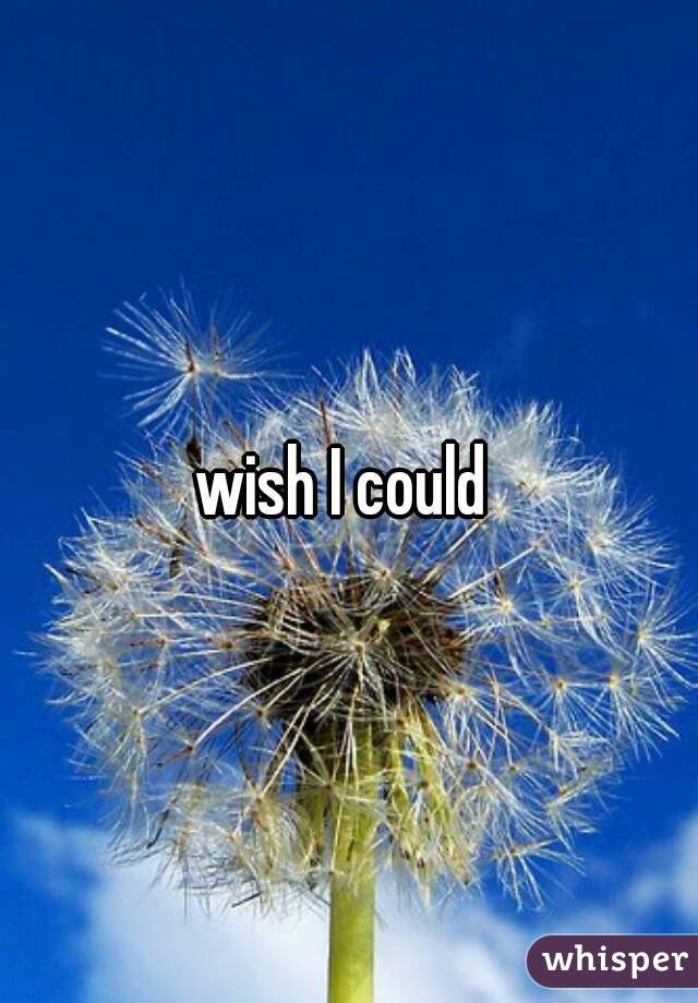 wish I could 