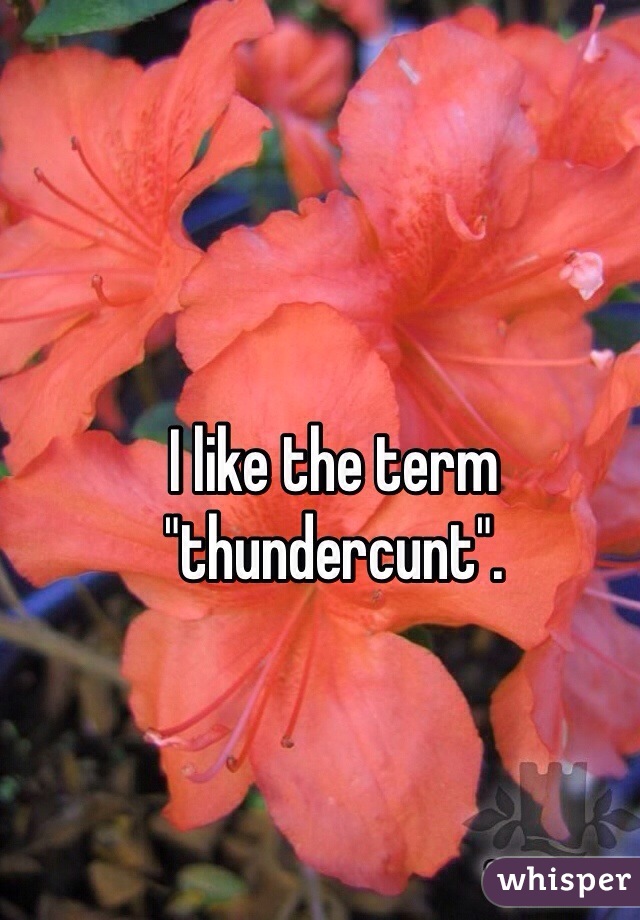 I like the term "thundercunt".