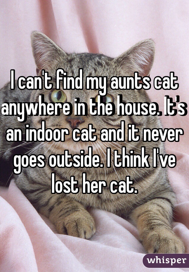 I can't find my aunts cat anywhere in the house. It's an indoor cat and it never goes outside. I think I've lost her cat. 