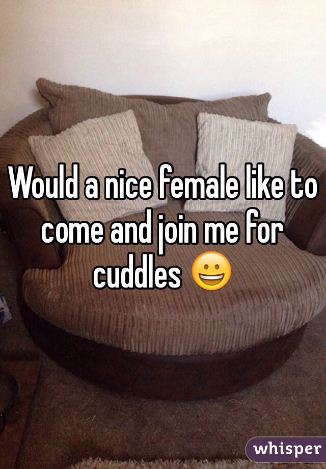 Would a nice female like to come and join me for cuddles 😀