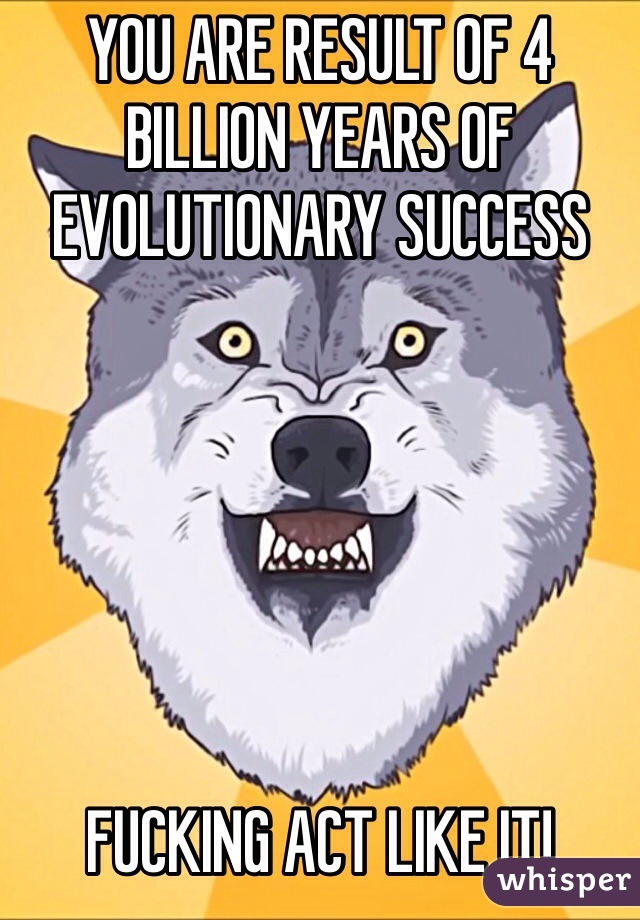 YOU ARE RESULT OF 4 BILLION YEARS OF EVOLUTIONARY SUCCESS






FUCKING ACT LIKE IT!