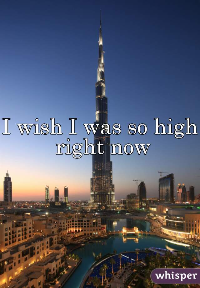 I wish I was so high right now
