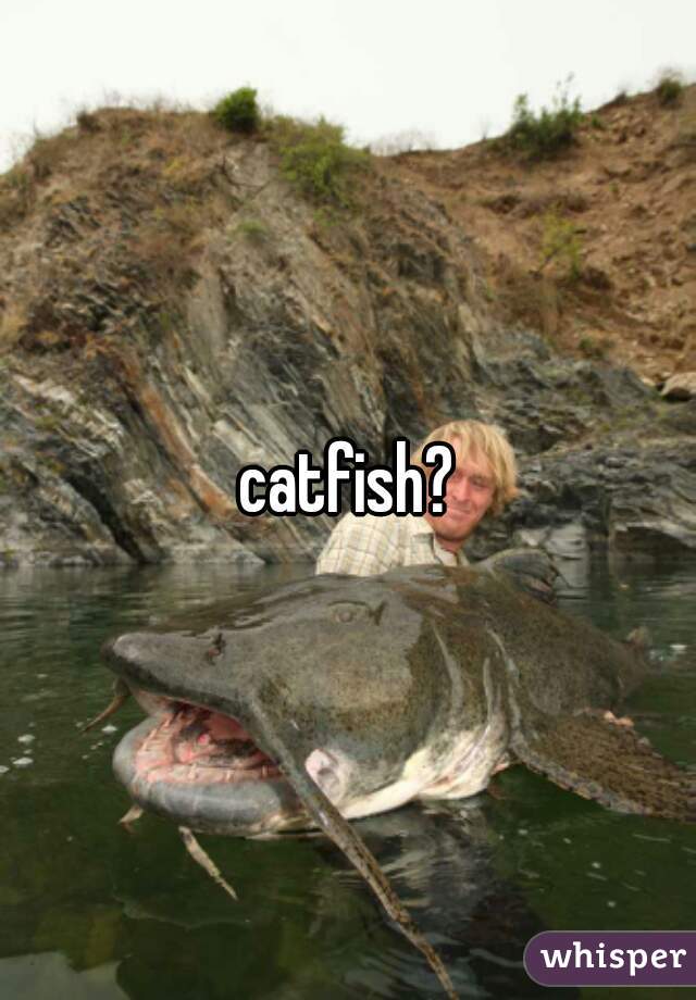 catfish?