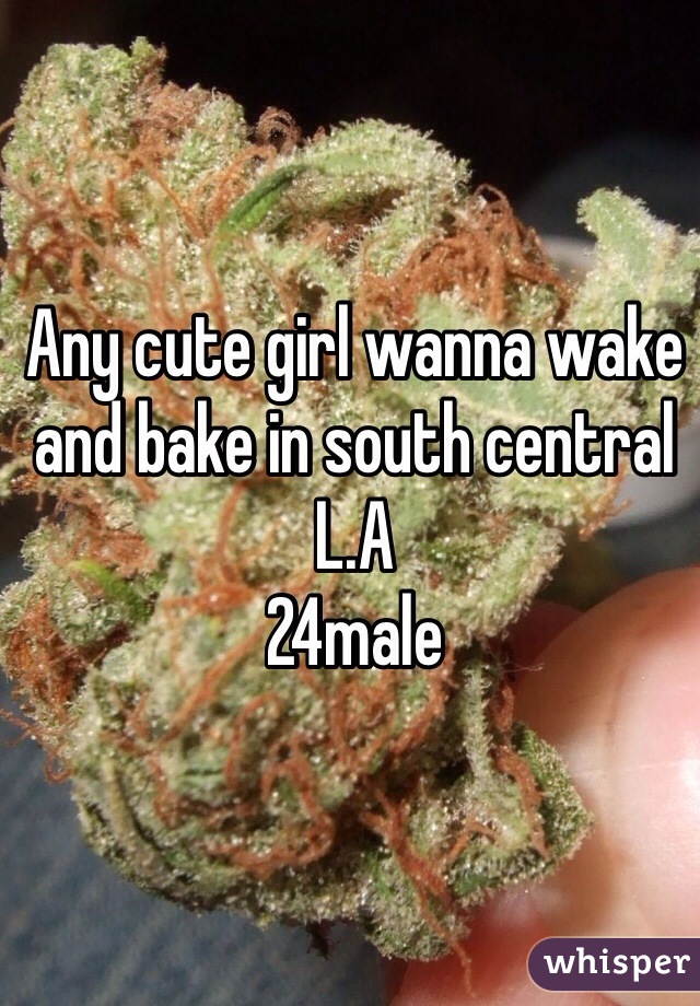 Any cute girl wanna wake and bake in south central L.A 
24male 