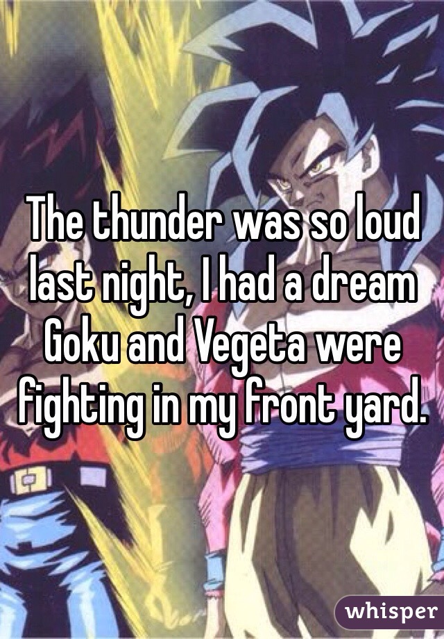 The thunder was so loud last night, I had a dream Goku and Vegeta were fighting in my front yard.