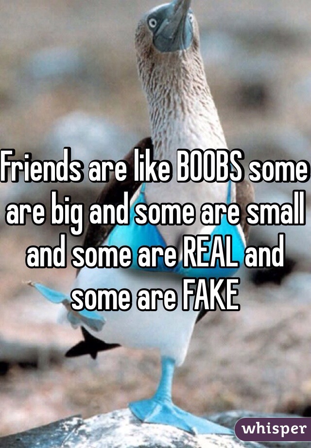Friends are like BOOBS some are big and some are small and some are REAL and some are FAKE