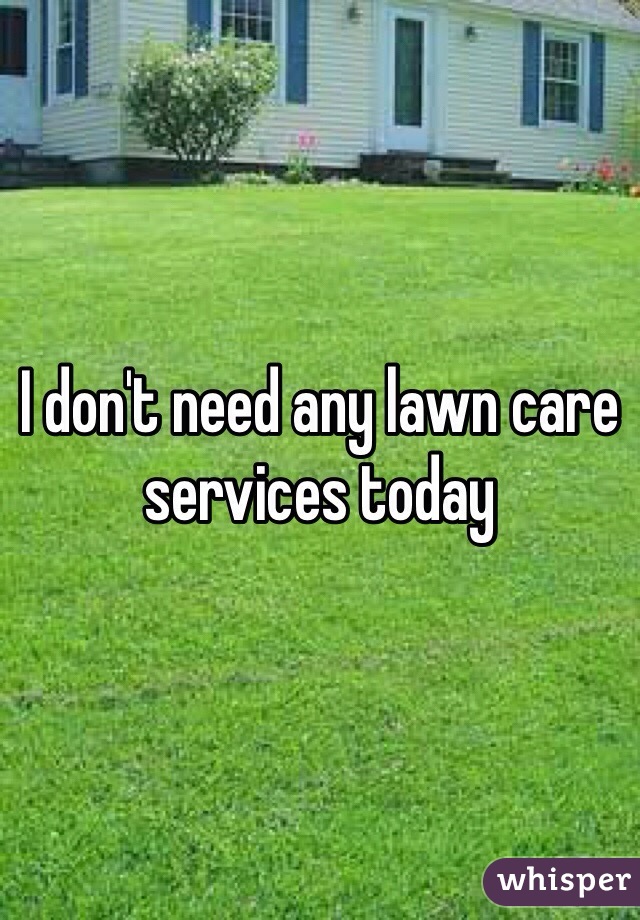 I don't need any lawn care services today