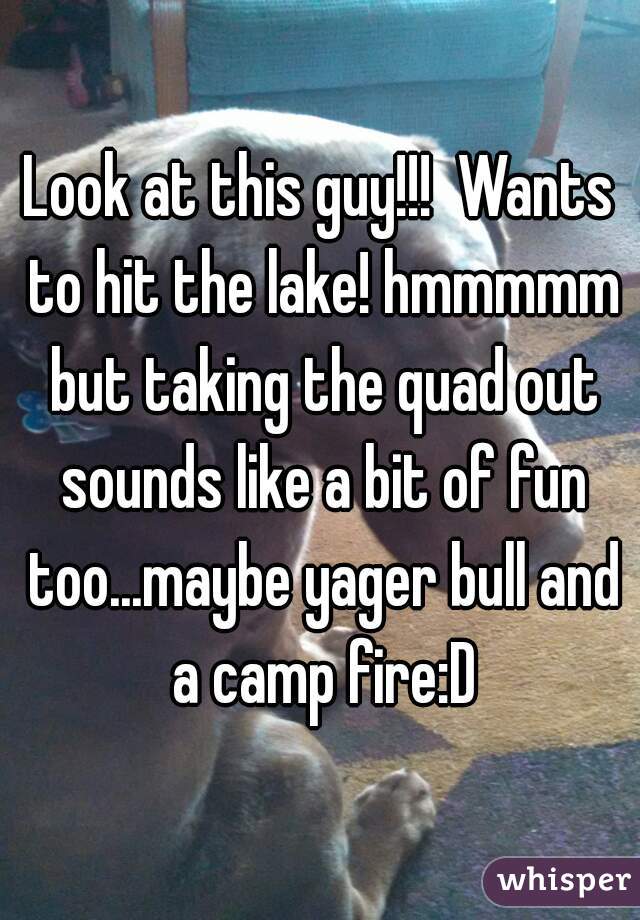 Look at this guy!!!  Wants to hit the lake! hmmmmm but taking the quad out sounds like a bit of fun too...maybe yager bull and a camp fire:D