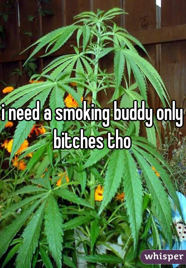 i need a smoking buddy only bitches tho 