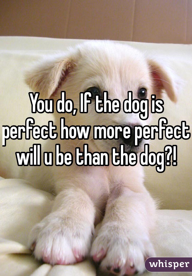 You do, If the dog is perfect how more perfect will u be than the dog?!