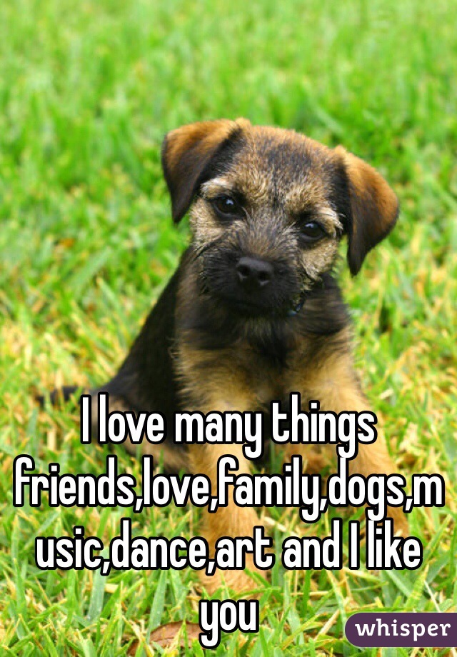 I love many things friends,love,family,dogs,music,dance,art and I like you