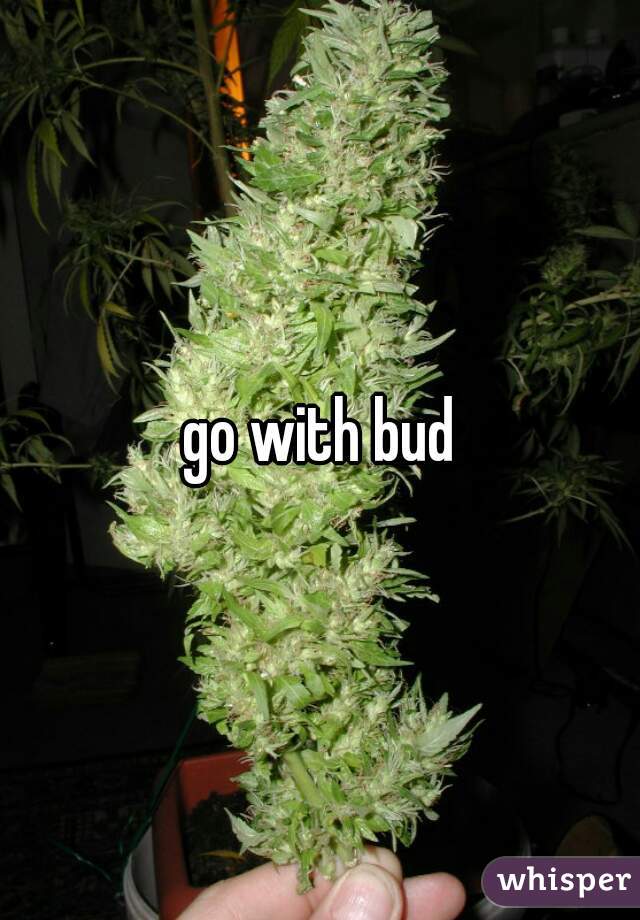go with bud