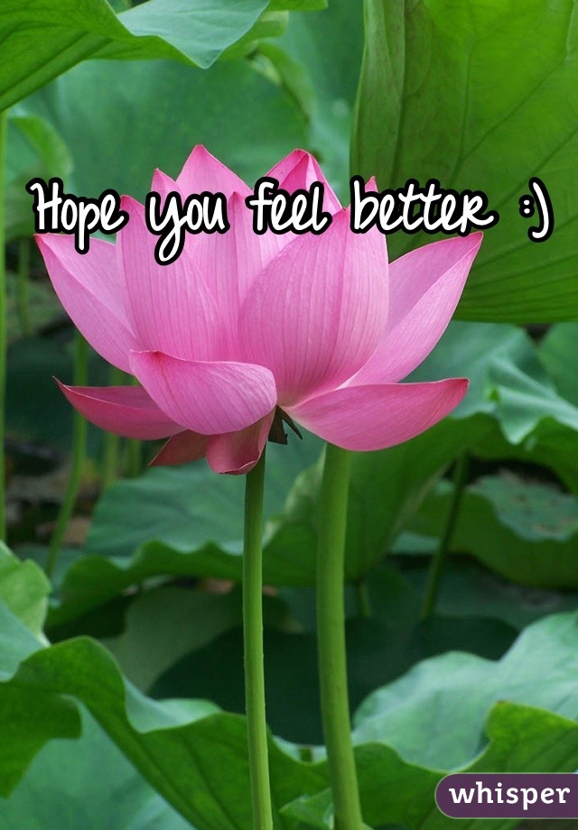 Hope you feel better :)