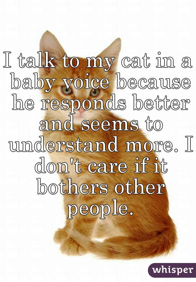 I talk to my cat in a baby voice because he responds better and seems to understand more. I don't care if it bothers other people.