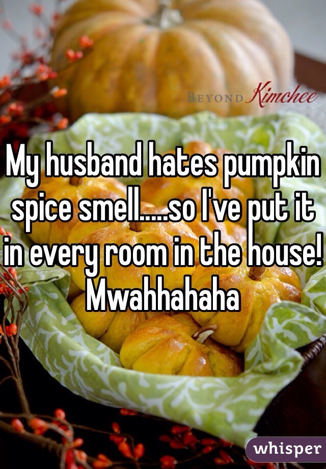 My husband hates pumpkin spice smell.....so I've put it in every room in the house! Mwahhahaha 