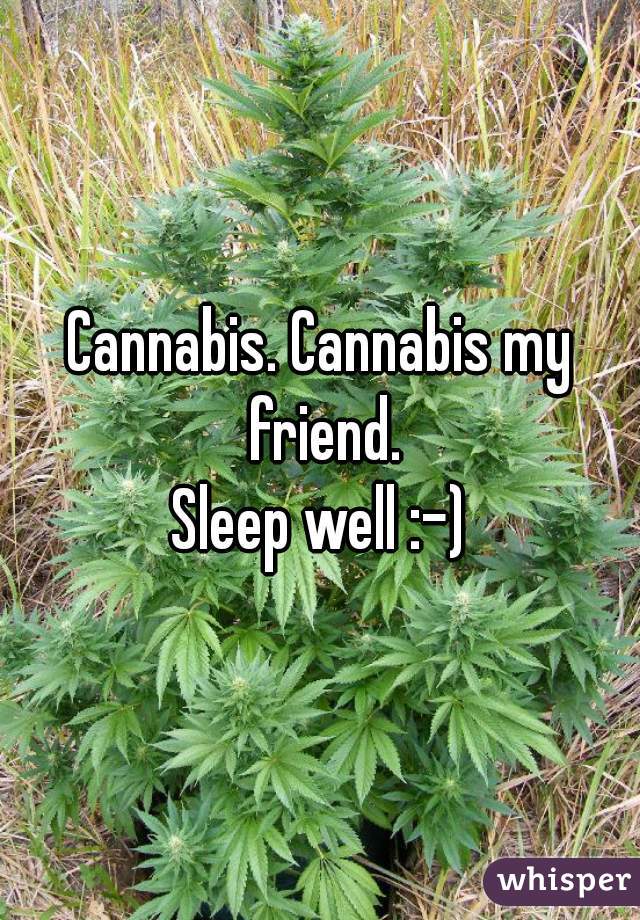Cannabis. Cannabis my friend.
Sleep well :-)