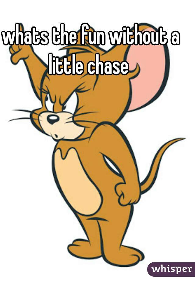 whats the fun without a little chase  